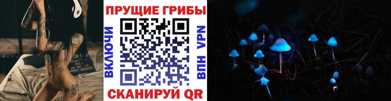 Купить закладки  Черноголовка  Псилоцибиновые грибы прущие грибы 